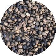 Parchment Coffee